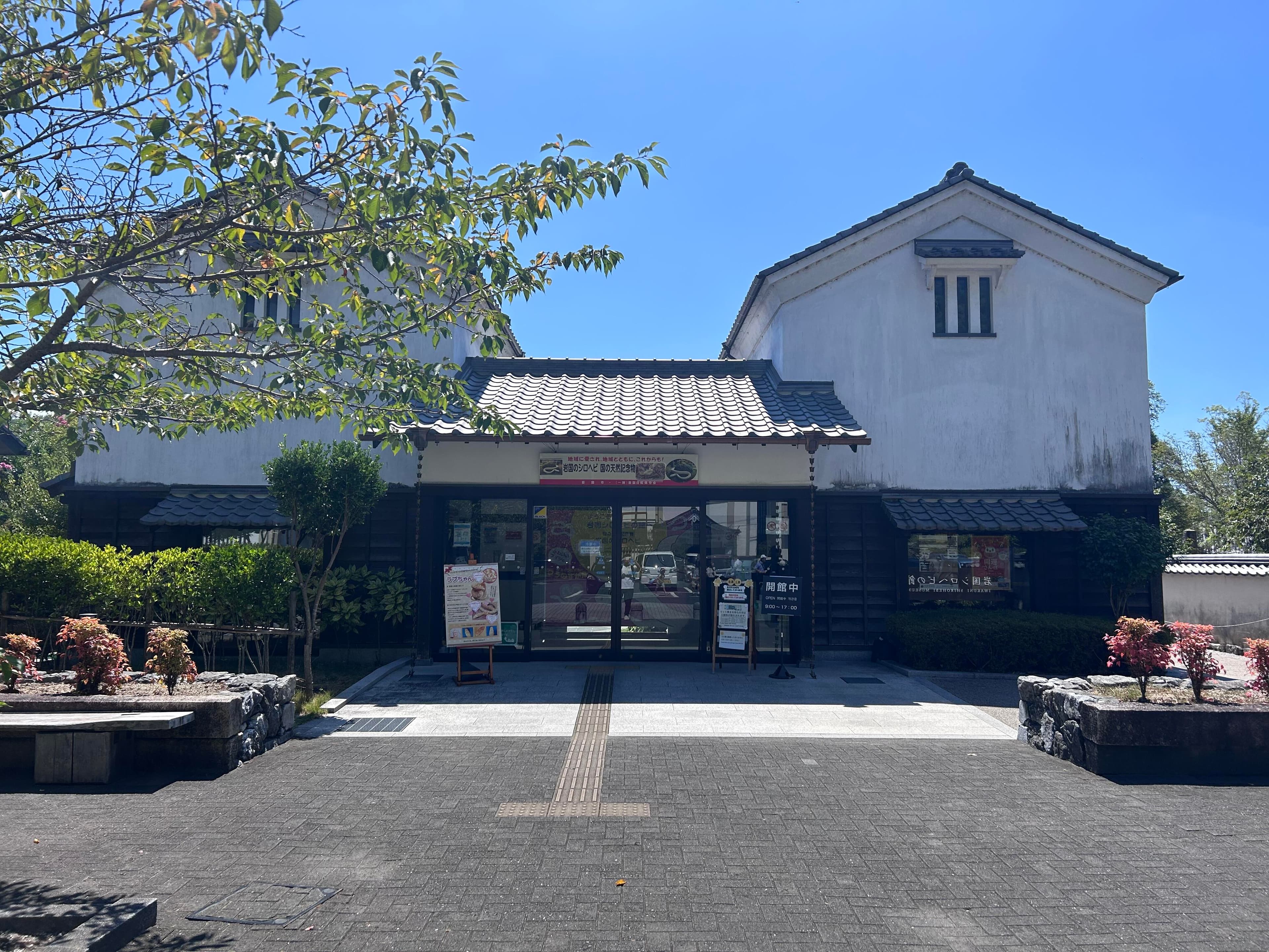 museum_photo