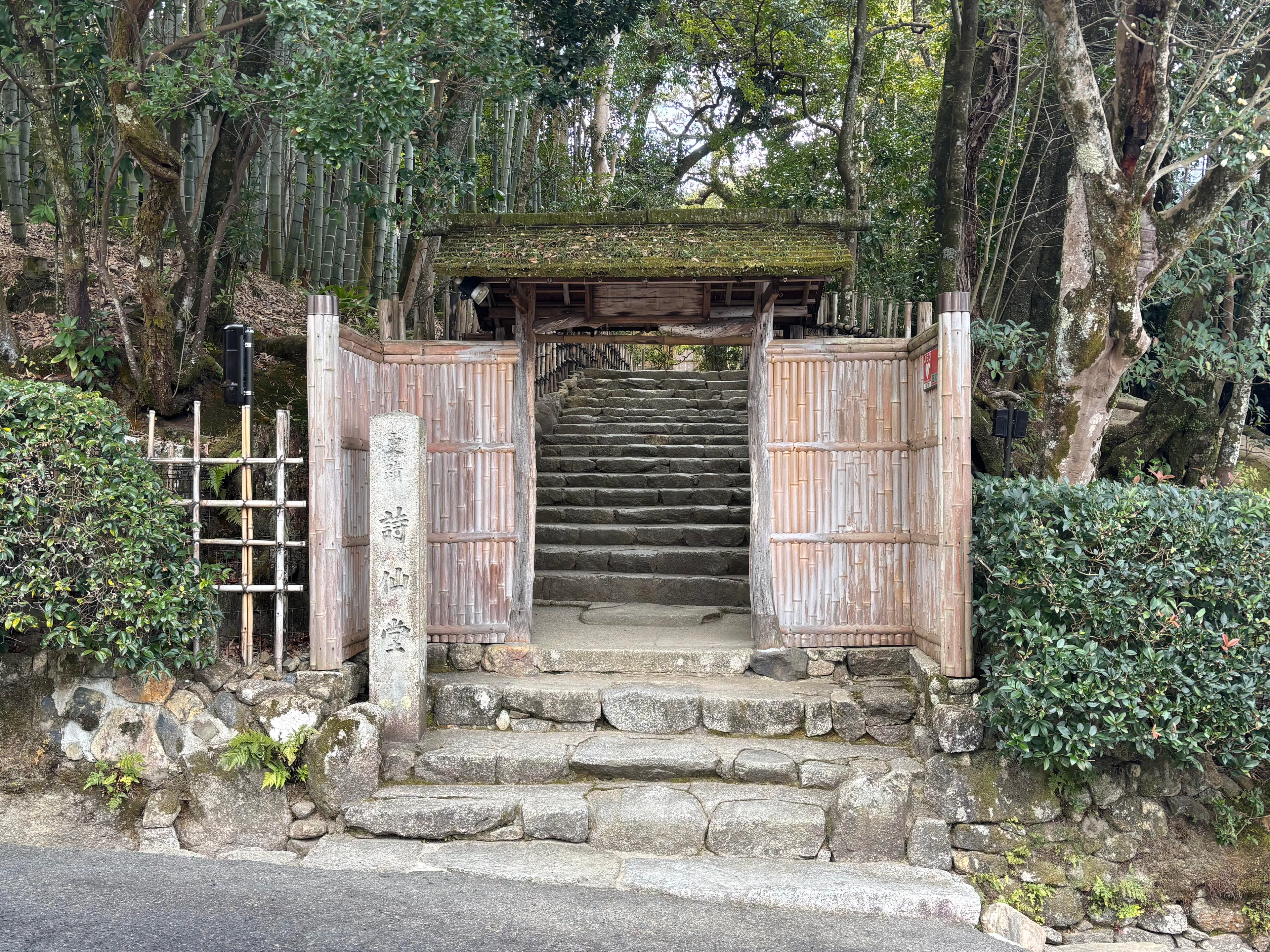 museum_photo