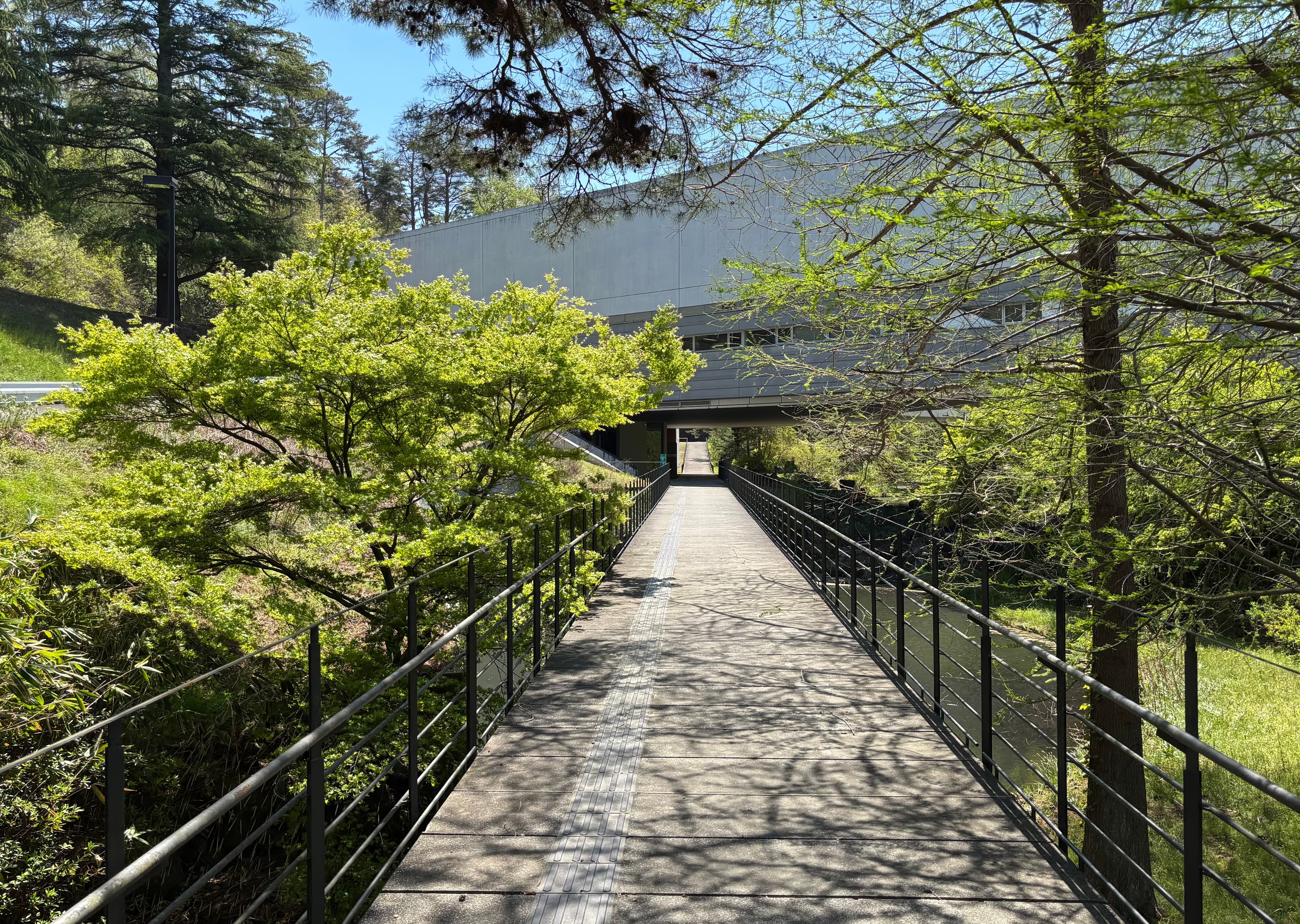 museum_photo