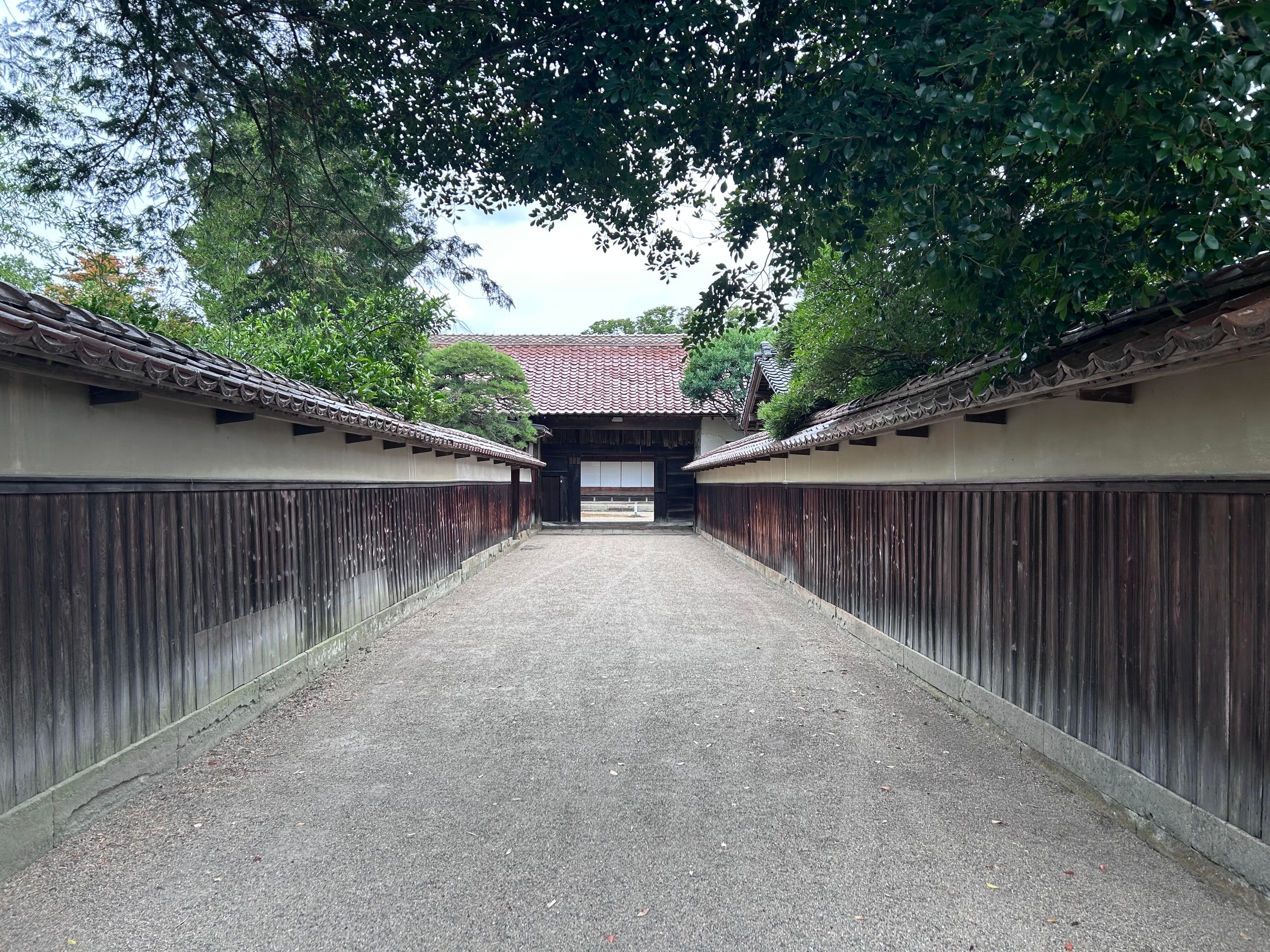 museum_photo